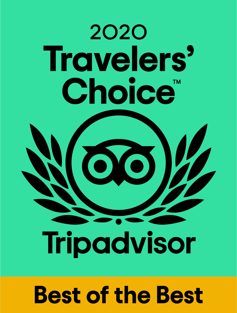 TC_2020_BOTB_L_GREEN_BG_RGB Traveler's choice award
